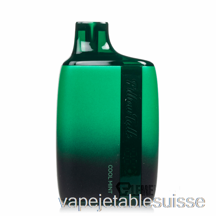 Vape Suisse Oreiller Talk 8500 Jetable Menthe Fraîche
